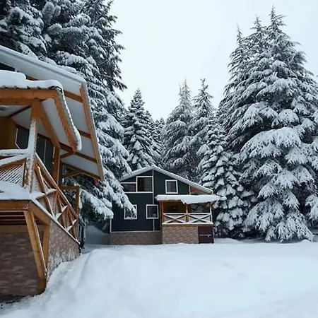 Kamp alanı Başkonuş Yaylası Kahramanmaraş