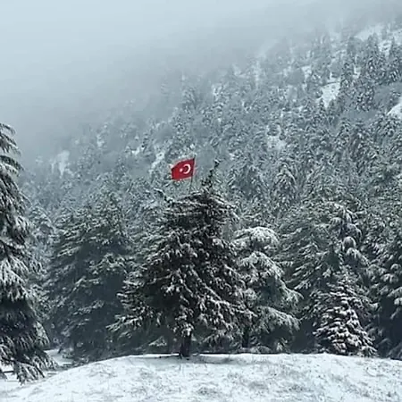 Kamp alanı Başkonuş Yaylası *