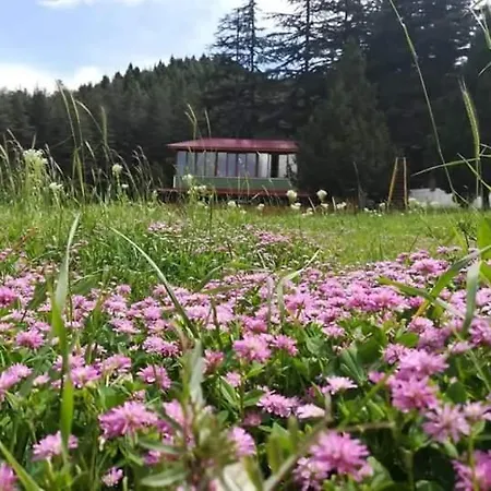 Başkonuş Yaylası