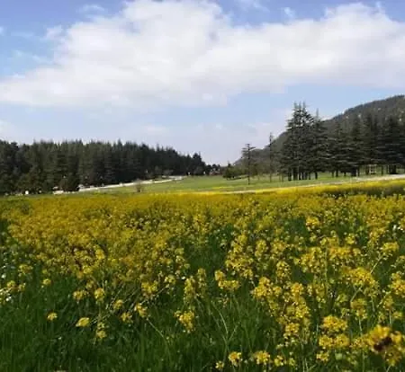 Başkonuş Yaylası Kamp alanı Kahramanmaraş